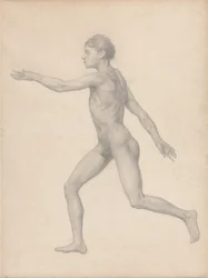 Vergleichende anatomische Darstellung der Struktur des menschlichen Körpers mit der eines Tigers und eines Co...